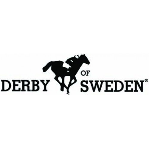 Derby Sweden
